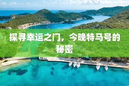 今晚特马号