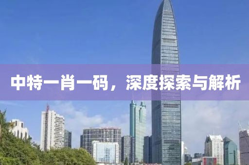 中特一肖一码，深度探索与解析