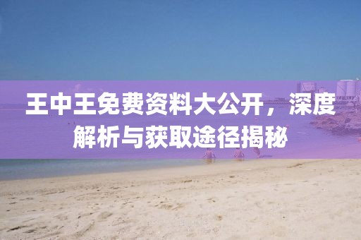 王中王免费资料大公开，深度解析与获取途径揭秘