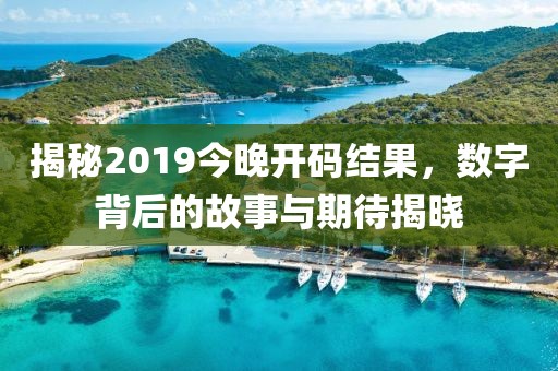 揭秘2019今晚开码结果，数字背后的故事与期待揭晓