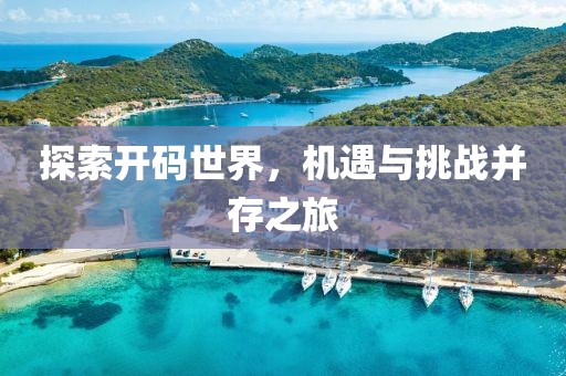 探索开码世界，机遇与挑战并存之旅
