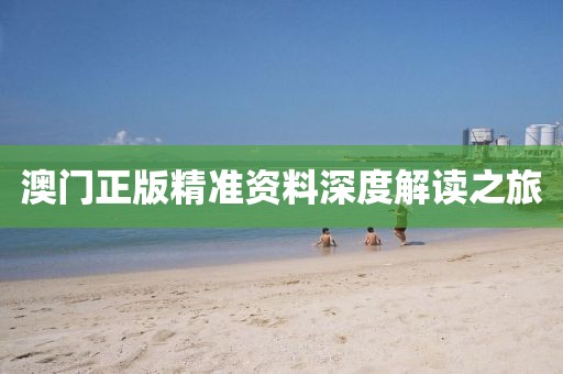 澳门正版精准资料深度解读之旅