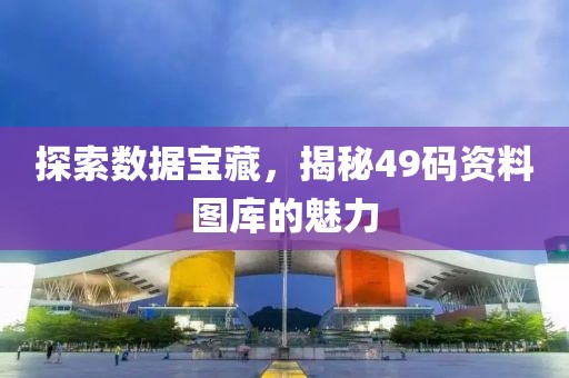 探索数据宝藏，揭秘49码资料图库的魅力