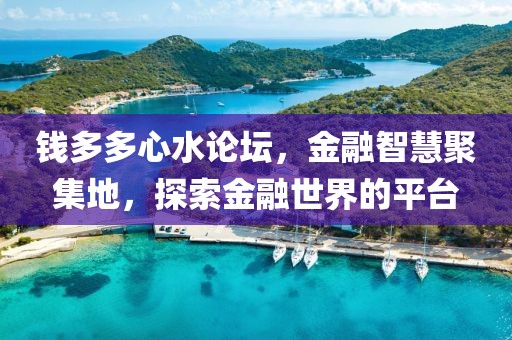钱多多心水论坛，金融智慧聚集地，探索金融世界的平台