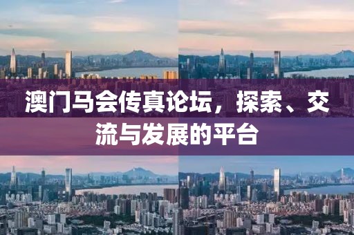 澳门马会传真论坛，探索、交流与发展的平台
