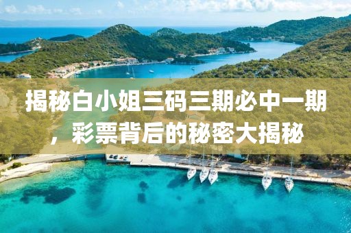 揭秘白小姐三码三期必中一期，彩票背后的秘密大揭秘