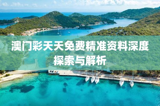 澳门彩天天免费精准资料深度探索与解析