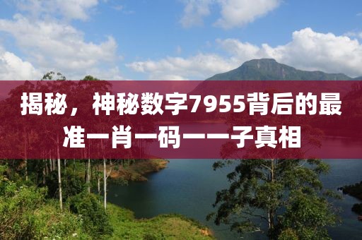 揭秘，神秘数字7955背后的最准一肖一码一一子真相