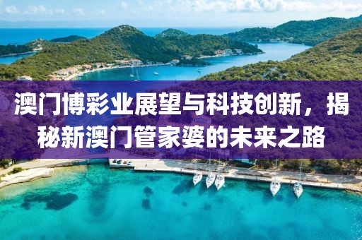 澳门博彩业展望与科技创新，揭秘新澳门管家婆的未来之路