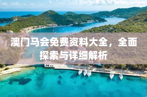 澳门马会免费资料大全，全面探索与详细解析