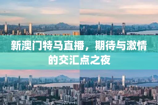 新澳门特马直播，期待与激情的交汇点之夜