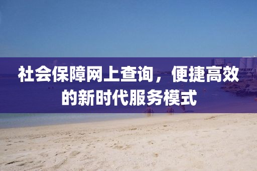 社会保障网上查询，便捷高效的新时代服务模式