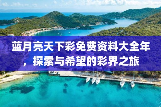 蓝月亮天下彩免费资料大全年，探索与希望的彩界之旅