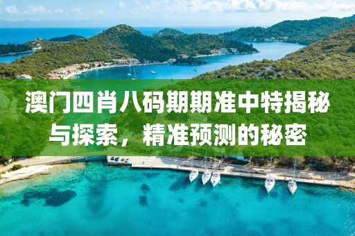 澳门四肖八码期期准中特揭秘与探索，精准预测的秘密