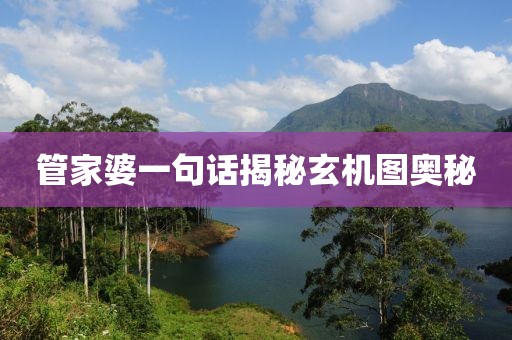管家婆一句话揭秘玄机图奥秘