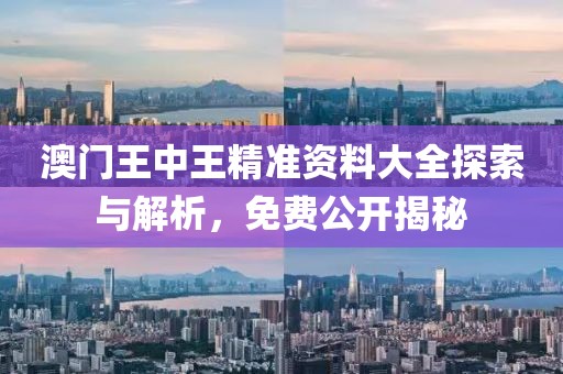 澳门王中王精准资料大全探索与解析，免费公开揭秘
