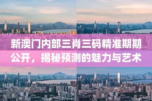 新澳门内部三肖三码精准期期公开，揭秘预测的魅力与艺术