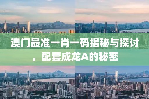 澳门最准一肖一码揭秘与探讨，配套成龙A的秘密
