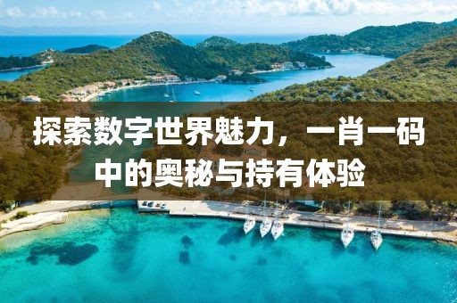 探索数字世界魅力，一肖一码中的奥秘与持有体验