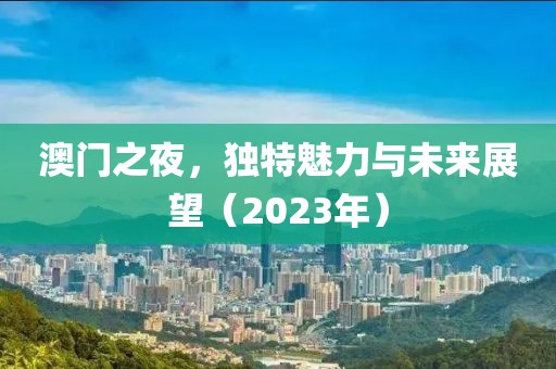 澳门之夜，独特魅力与未来展望（2023年）