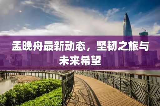 孟晚舟最新动态，坚韧之旅与未来希望