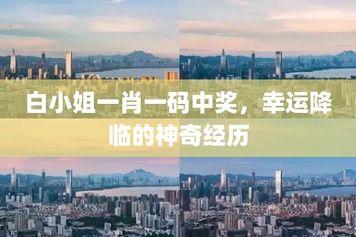 白小姐一肖一码中奖，幸运降临的神奇经历