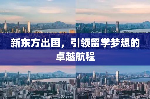 新东方出国，引领留学梦想的卓越航程