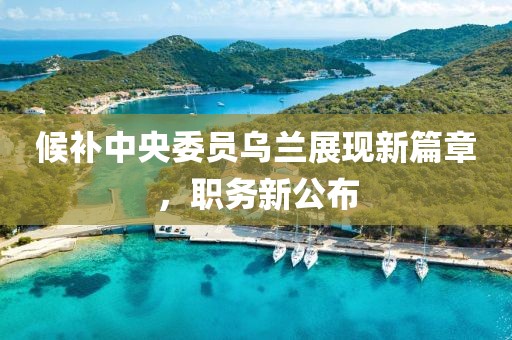 候补中央委员乌兰展现新篇章，职务新公布