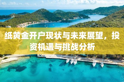 纸黄金开户现状与未来展望，投资机遇与挑战分析