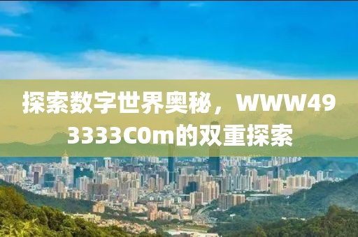 探索数字世界奥秘，WWW493333C0m的双重探索