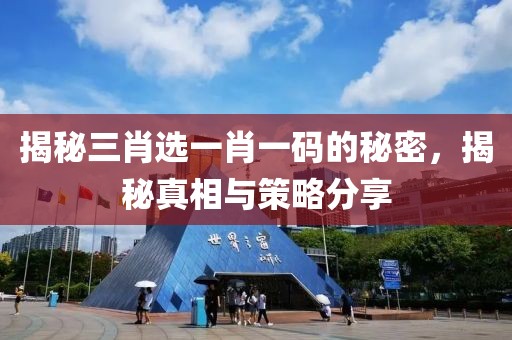 揭秘三肖选一肖一码的秘密，揭秘真相与策略分享