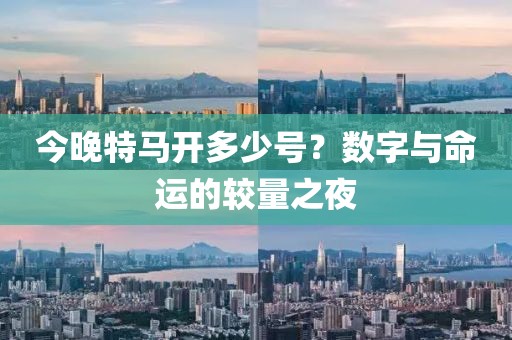 今晚特马开多少号？数字与命运的较量之夜