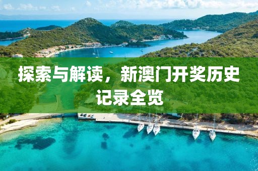 探索与解读，新澳门开奖历史记录全览
