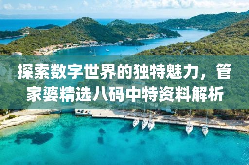 探索数字世界的独特魅力，管家婆精选八码中特资料解析