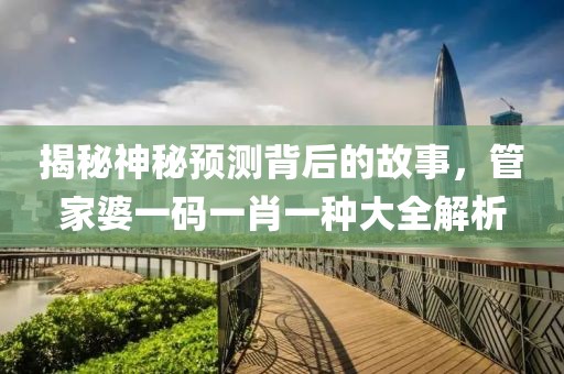 揭秘神秘预测背后的故事，管家婆一码一肖一种大全解析