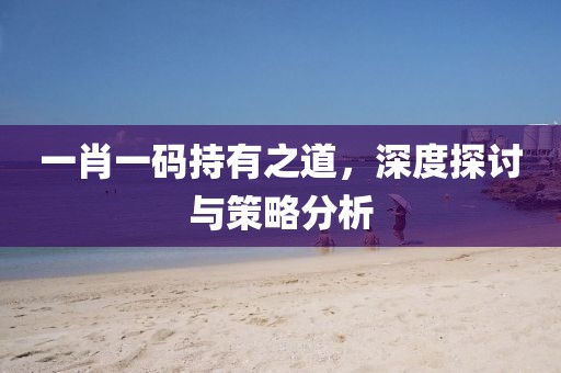 一肖一码持有之道，深度探讨与策略分析