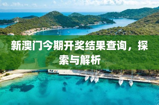 新澳门今期开奖结果查询，探索与解析
