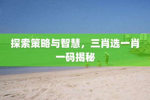 探索策略与智慧，三肖选一肖一码揭秘