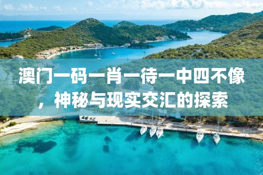 澳门一码一肖一待一中四不像，神秘与现实交汇的探索
