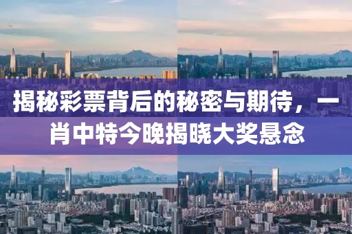 揭秘彩票背后的秘密与期待，一肖中特今晚揭晓大奖悬念