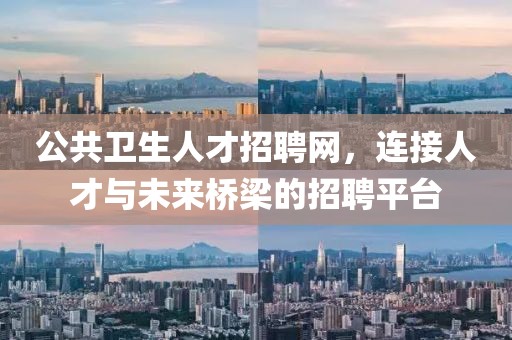公共卫生人才招聘网，连接人才与未来桥梁的招聘平台