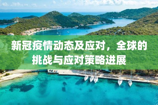 新冠疫情动态及应对，全球的挑战与应对策略进展
