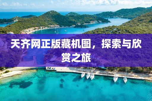 天齐网正版藏机图，探索与欣赏之旅