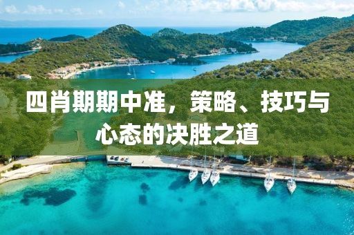四肖期期中准，策略、技巧与心态的决胜之道