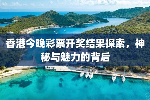香港今晚彩票开奖结果探索，神秘与魅力的背后