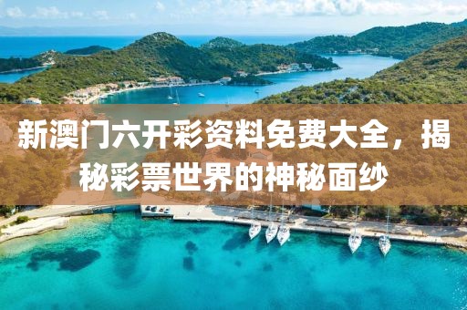 新澳门六开彩资料免费大全