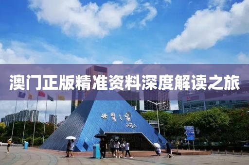澳门正版精准资料深度解读之旅
