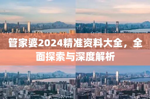 管家婆2024精准资料大全，全面探索与深度解析