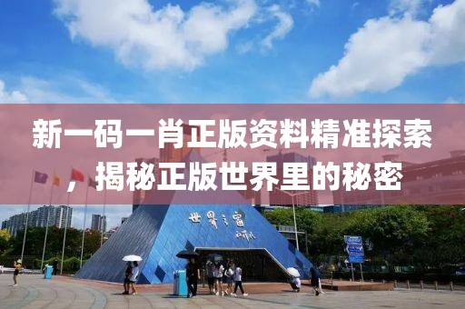 新一码一肖正版资料精准探索，揭秘正版世界里的秘密