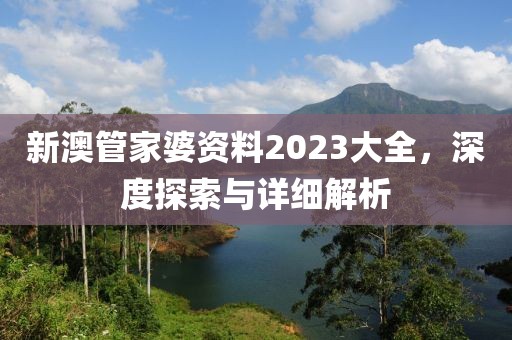 新澳管家婆资料2023大全